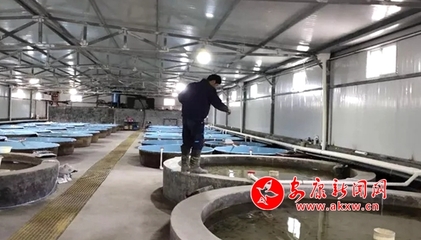 嵐皋縣各漁業企業有序開展復工復產工作，保障畜牧漁業飼料供應