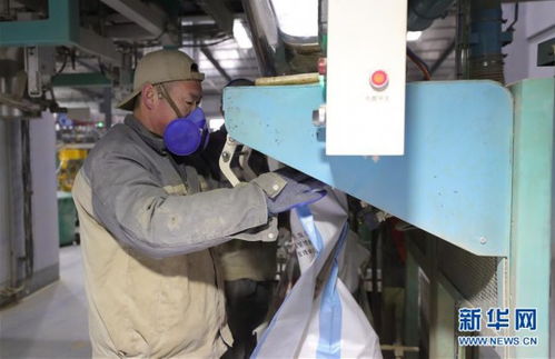 沈陽多措并舉保障飼料與畜牧產品供應，為畜牧漁業穩產提供堅實支撐
