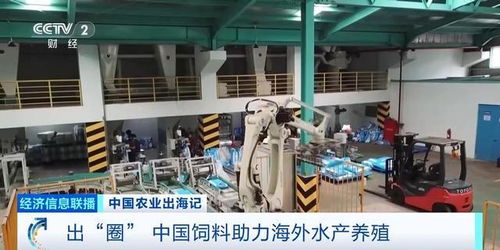 油菜籽扎根巴基斯坦，飼料游進越南蝦塘 中國農業這樣出海