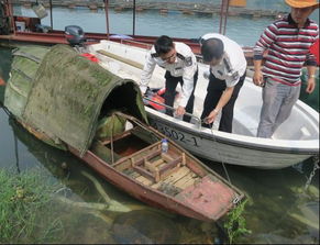 市畜牧獸醫水產局開展漁政聯合執法巡查，嚴防畜牧漁業飼料安全隱患